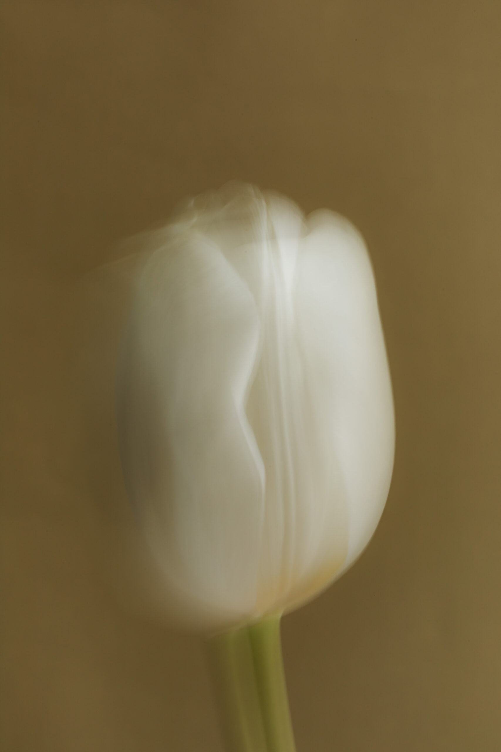 Identity Crisis – Khủng hoảng danh tính